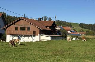 Haus mieten in Niederwang, 87496 Untrasried, Freistehendes Einfamilienhaus mit Werkstatt & Doppelgarage – Wohnen & Arbeiten auf dem Land