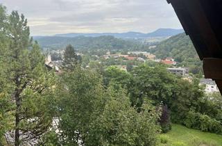 Haus mieten in 79780 Stühlingen, Helles Haus mit zwei separaten Wohnungen nahe der Schweizer Grenze