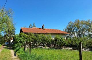 Haus mieten in Am Weißen Stein, 93455 Traitsching, großzügiges 4-Raum-Einfamilienhaus mit EBK in Traitsching