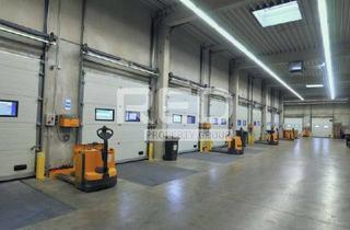 Büro zu mieten in 40764 Langenfeld, Halle mit 12 Rampen und 7,50 m Höhe und 150 m² Büro