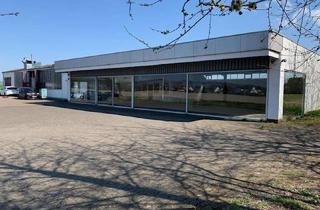 Gewerbeimmobilie mieten in 32278 Kirchlengern, Gewerbehalle, Lagerhalle, zu vermieten.