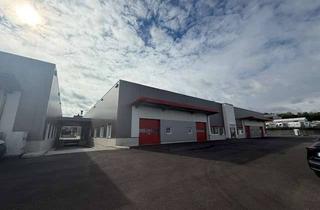 Gewerbeimmobilie mieten in Gießereistraße, 42551 Velbert, Velbert - Gießereistraße 7 - Attraktive Hallenflächen im neuen Gewerbeareal Velbert