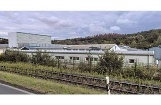 Gewerbeimmobilie kaufen in Zum Puddelhammer 6 und 8b, 59581 Warstein, Gewerbeobjekt - langfristig vermietet !