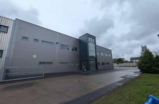 Büro zu mieten in Ganghoferstraße 45a, 82216 Maisach, Neuwertige Industriehalle mit Büro und Freifläche in Teilflächen ab 440m²