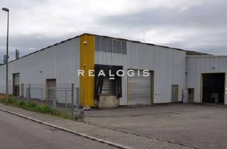 Büro zu mieten in 96450 Bertelsdorf, Coburg, ca. 850 m² Hallenfläche zzgl. Bürofläche zu vermieten