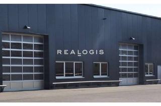 Gewerbeimmobilie mieten in 64653 Lorsch, Lager / Produktion / Ausstellung - 6,90 m UKB - Anbindung an die A67