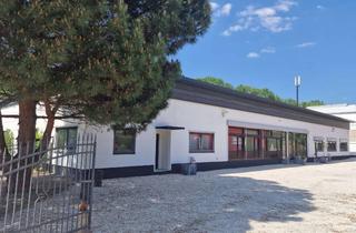 Gewerbeimmobilie kaufen in Im Schollengarten 24, 76646 Bruchsal, Tolle Gelegenheit: Grundstück mit vielseitig nutzbarer Gewerbehalle inkl. modernem Wohnhaus