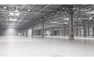 Gewerbeimmobilie mieten in 50374 Erftstadt, Wir bieten die Halle, Sie die Vision! - Ab sofort in Erftstadt