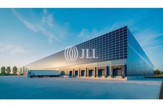 Büro zu mieten in 50170 Kerpen, Lager-/Produktionsfläche mit repräsentativer Bürofläche