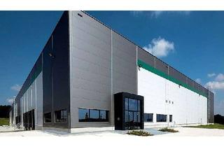 Gewerbeimmobilie mieten in 50127 Bergheim, PROJEKTIERTE LAGERHALLE // CBRE GmbH