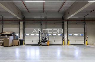 Büro zu mieten in 50127 Bergheim, Lagerhallen + Büro | ebenerdig | ab 2026