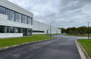 Gewerbeimmobilie mieten in 48369 Saerbeck, Neuwertige Logistikimmobilie mit Laborfläche im nördlichen Münsterland