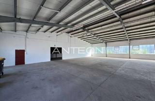 Büro zu mieten in 42781 Haan, Lagerhalle + Büro + Freifläche | ebenerdige Andienung