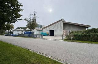 Gewerbeimmobilie kaufen in 84051 Essenbach, Büro- und Hallenkomplex84051 Essenbach/Altheim