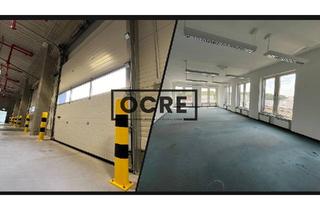 Gewerbeimmobilie mieten in 63505 Langenselbold, Exklusive Lagerhalle mit vielseitiger Nutzungsmöglichkeit