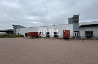 Gewerbeimmobilie mieten in 06766 Bitterfeld-Wolfen, Flexible Hallenflächen mit Gleisanschluss / Rampe / ebenerdig / Provisionsfrei