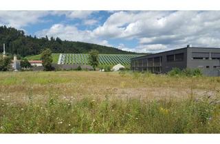 Gewerbeimmobilie mieten in Lonzaring 15, 79761 Waldshut-Tiengen, Maßgeschneiderte Immobilie & Zugang zum europäischen Binnenmarkt