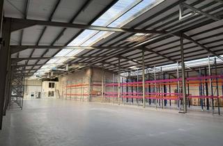 Gewerbeimmobilie kaufen in 48565 Steinfurt, Lagerhallen mit Büro, teilbar, mit 3 el. Verladerampen in Steinfurt-Borghorst