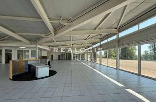 Gewerbeimmobilie mieten in 89542 Herbrechtingen, Repräsentative Werkstatt- und Verkaufsfläche mit ca. 1.500 m² zu vermieten