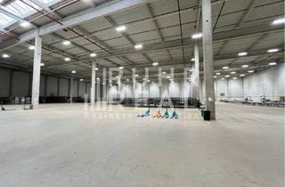 Gewerbeimmobilie mieten in 41334 Nettetal, Logistikhalle | 10 m UKB | 3 Rampen & 1 ebenerdiges Tor | ab sofort