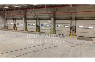 Gewerbeimmobilie mieten in 97337 Dettelbach, SOFORT VERFÜGBAR !!! 4,60 €/m² / Tipptopp Logistik- und Produktionsfläche an der B22