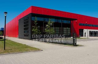 Gewerbeimmobilie mieten in 91601 Dombühl, Neubaulogistikflächen am Autobahnkreuz A6/A7