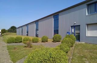 Gewerbeimmobilie mieten in Am Yachthafen, 32361 Preußisch Oldendorf, Gewerbe-/Lagerhalle in Pr. Oldendorf zu vermieten