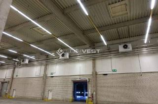 Gewerbeimmobilie kaufen in 04703 Leisnig, Lagerhallenfläche mit 24/7 an der A14