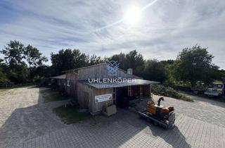 Gewerbeimmobilie kaufen in 21385 Amelinghausen, Gewerbeimmobilie in Amelinghausen bei Lüneburg – Bürogebäude + 2 Hallen auf 4.242 m² Grundstück