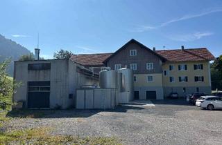 Büro zu mieten in Unterwilhams, 87547 Missen-Wilhams, vielfältige Gewerbefläche (Büro, Produktion, Labor) mit Rampenanlieferung