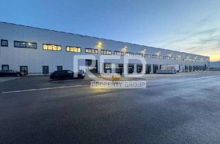 Gewerbeimmobilie mieten in 41334 Nettetal, Ab Sofort - Logistikhalle mit Rampen und 10,5 m Höhe - kurze Laufzeiten möglich