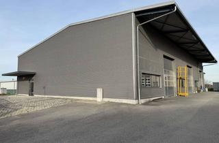 Gewerbeimmobilie mieten in 74389 Cleebronn, Halle mit Kranbahn, 6,3t-Kran kann eingebaut werden