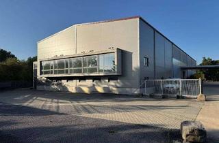 Büro zu mieten in Wittauer Straße 12, 74564 Crailsheim, Industrie- und Lagerhalle mit Büro