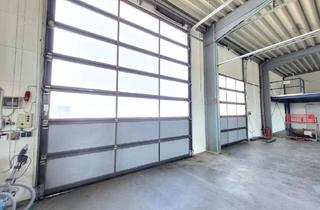 Büro zu mieten in 93083 Obertraubling, Beliebter Firmenstandort: Produktions-/Lagerhalle mit Büro