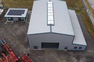 Büro zu mieten in 89340 Leipheim, Industriehalle mit Bürofläche und Wohngebäude