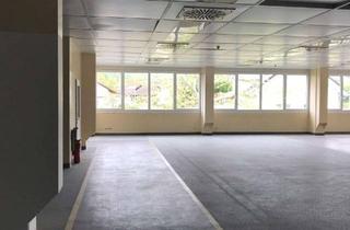 Gewerbeimmobilie mieten in Allmendweg, 79789 Jestetten, Hochwertige individuell planbare Lagerflächen mit Lastenaufzug in Jestetten