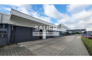 Büro zu mieten in 12307 Lichtenrade (Tempelhof), 3.045 m² Fertigungs-/Lagerhallen inkl. Laborausbau und Büro nahe S-Bhf. Lichtenrade *1501*