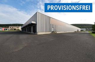Gewerbeimmobilie mieten in 63110 Rodgau, DIETZ: Provisionsfrei und nur 4,- VHB pro m² Logistikhalle zu vermieten! 800 kVA - 14 Rolltore
