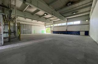 Gewerbeimmobilie mieten in Blomberger Weg, 13437 Wittenau, Halle / Lager / Produktionsstätte zu vermieten*Gewerbefläche zentral in Reinickendorf*