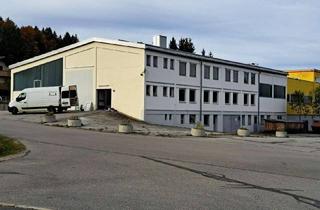 Gewerbeimmobilie kaufen in Palmbergerstraße 40a, 94518 Spiegelau, Gebäudeobjekt mit Rendite