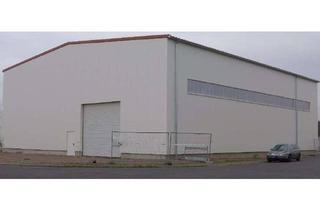 Gewerbeimmobilie kaufen in 64584 Biebesheim, Moderne Lagerhalle in Biebesheim – Großes Grundstück mit Erweiterungspotenzial