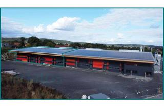 Gewerbeimmobilie mieten in 49186 Bad Iburg, Neubau Lagerhalle teilbar zwischen ca. 48 m² und ca. 1.152 m² - Flexibilität pur in Sentrup