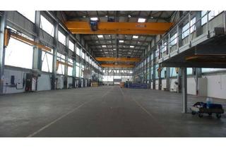 Gewerbeimmobilie mieten in 67227 Frankenthal, Produktionshalle mit 140m Länge und 40-t-Kranbahnen zu vermieten