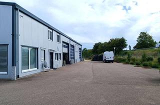 Gewerbeimmobilie kaufen in 89269 Vöhringen, Moderne Gewerbehalle/Werkstatt m. Büroflächen, Betriebswohnung u. Erweiterungspotential in Vöhringen