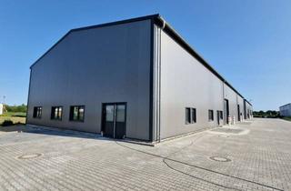 Büro zu mieten in 38239 Beddingen, Gewerbehalle, Büro+Freifläche zur Vermietung in SZ-Beddingen nahe VW-Werk/PowerCo - provisionsfrei