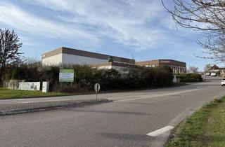 Büro zu mieten in 74211 Leingarten, Gewerbehallen mit Büro in Leingarten in erstklassiger Lage direkt an der B239