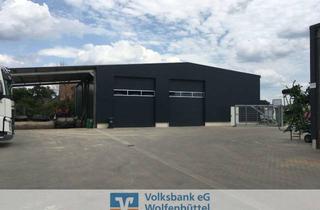 Gewerbeimmobilie kaufen in 38533 Vordorf, Gewerbehalle mit Weitblick