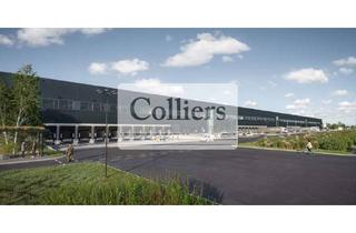 Gewerbeimmobilie mieten in 12529 Schönefeld, Moderner Logistikneubau - ca. 80.000 m² Hallenfläche verfügbar in Q4 2026