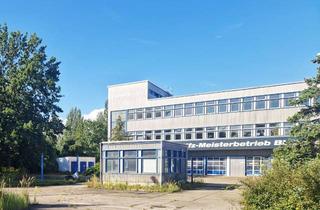 Gewerbeimmobilie kaufen in Siegfriedstraße 81, 10365 Lichtenberg, Bestandsobjekt mit großzügiger Freifläche