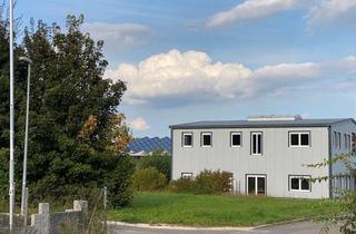 Gewerbeimmobilie mieten in Einsteinstraße, 89179 Beimerstetten, Moderne Lagerhalle in Toplage nahe A8 und A7 zu vermieten